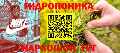 не бодяженный Камышлов