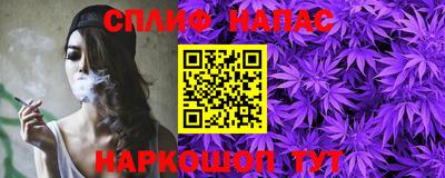 не бодяженный Камышлов