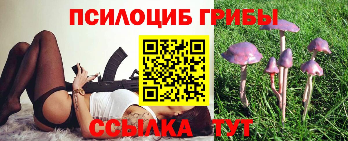 Псилоцибиновые грибы GOLDEN TEACHER  Вход с VPN  Заволжье  Псилоцибиновые грибы MAGIC MUSHROOMS 